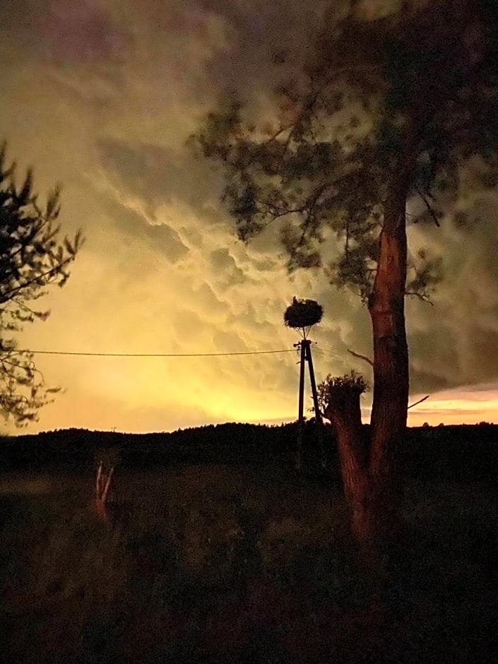 Pod bocianim gniazdem