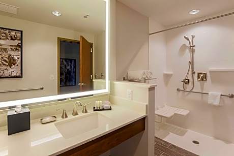 Room, 1 King Bed