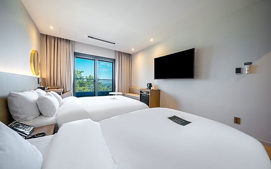 Brown Dot Gangneung Gyeongpo