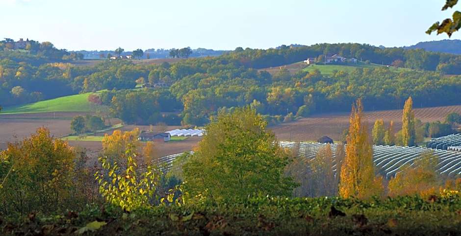 Parc Waechter