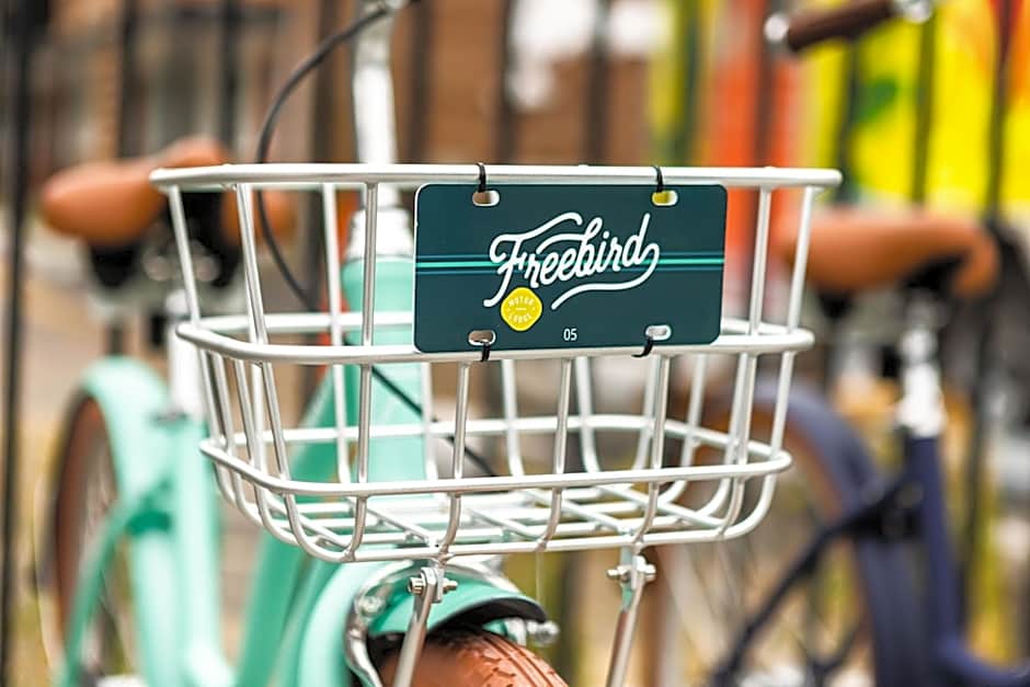 Freebird by Reverie Boutique Collection