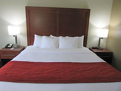 King Room - Non-Smoking