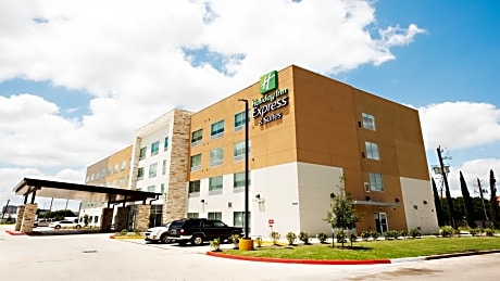 Holiday Inn Express & Suites Houston SW - Sharpstown By IHG