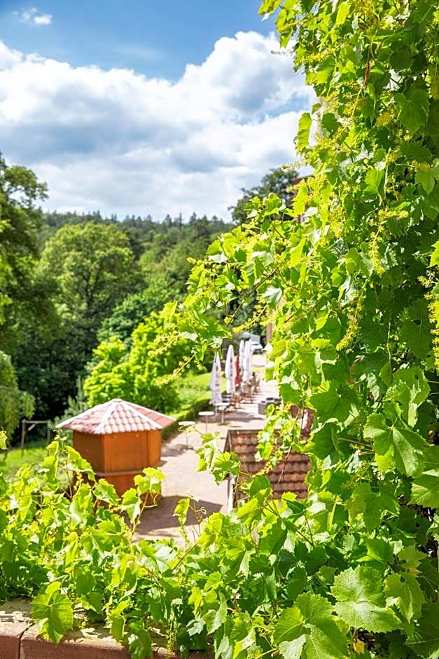 Michel Hotel Franziskushöhe Lohr am Main