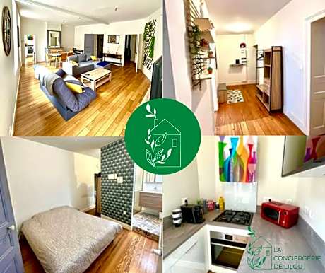 Charming Albi Apartment in City Centre