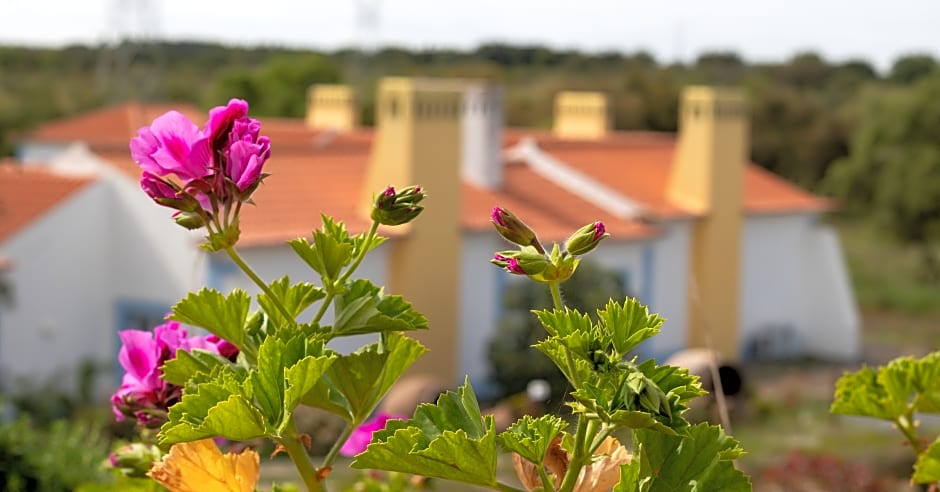 Monte do Giestal - Casas de Campo & SPA