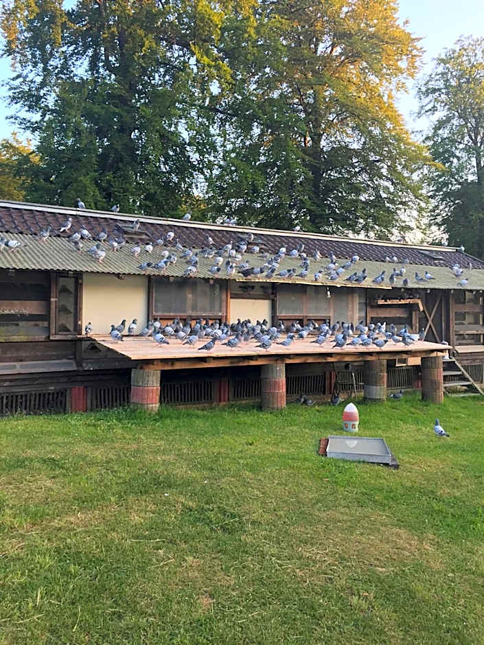 Hotel-Restaurant Johanniskreuz