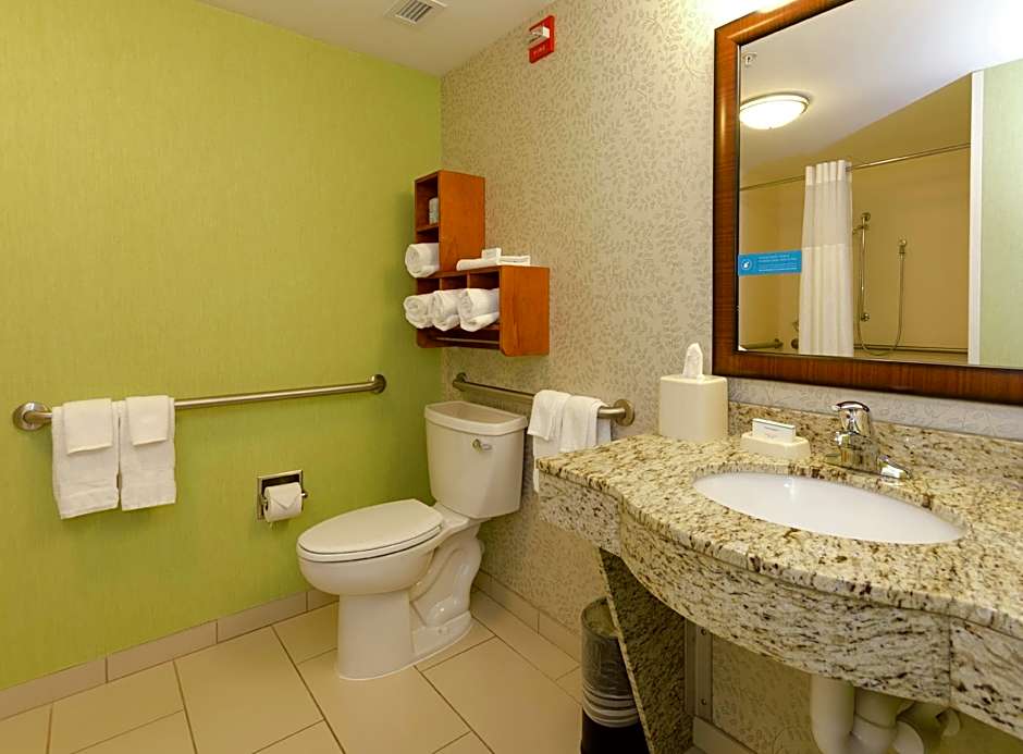 Foto 1 di 10 di Studio 1 King Bed, Hearing/Mobility Accessible, Roll in Shower