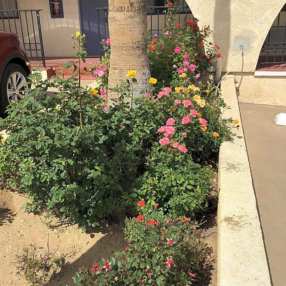 Americas Best Value Inn & Suites Joshua Tree National Park