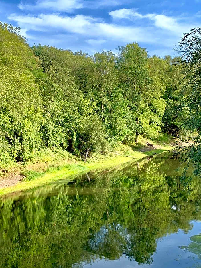 Viadrina Rooms & Apartments Frankfurt-Oder am Park im Zentrum