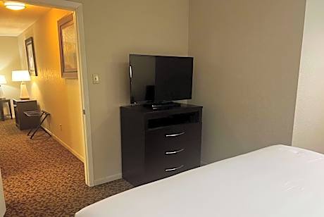 One-Bedroom King Suite - Non-Smoking