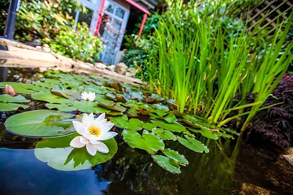 Boutique-Hotel Villa Anna
