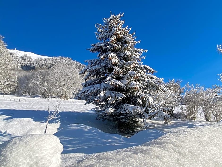 Lodge Jardin Secret - Propriétés Mont Amour