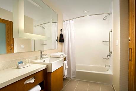 Studio, 1 King Bed with Sofa bed (Hearing Accessible) (1 King Bed and 1 Double Sofa Bed)