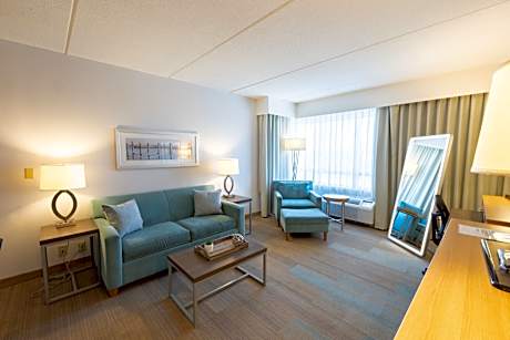 1 King Suite Extra Living Area