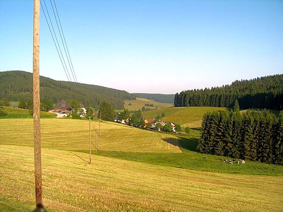 ZUR TRAUBE Schwarzwaldhotel & Restaurant am Titisee