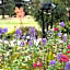Marchmont Gardens
