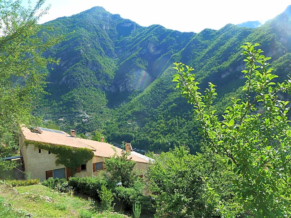 Le Mont d'Olivine