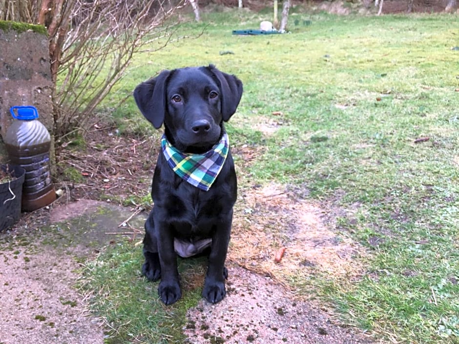 The Sheiling B&B - NC 500