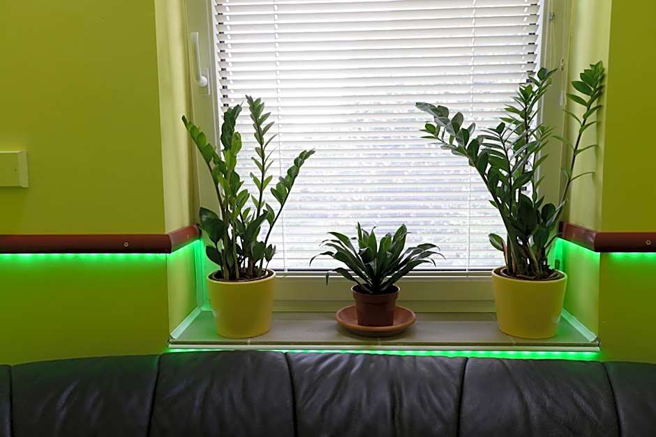 Nexus Vendégház Szeged