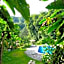 Eco Hotel La Jicarita