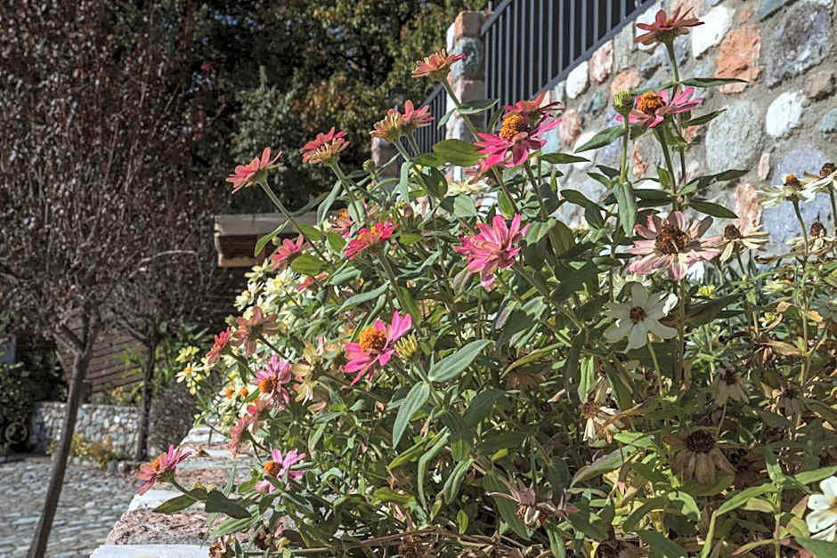 Alkyonis Hotel & Spa