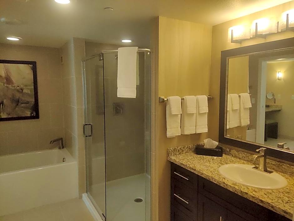 1 bedroom condo F1 / Superbowl Availability