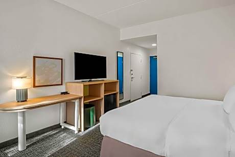 King Room with Mobility Accessible Tub