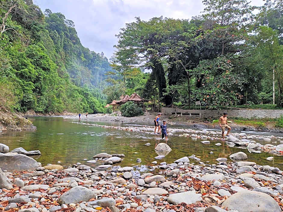Rambai Tree Jungle Lodges - Family Friendly