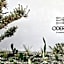 Odera, Tinos, Autograph Collection