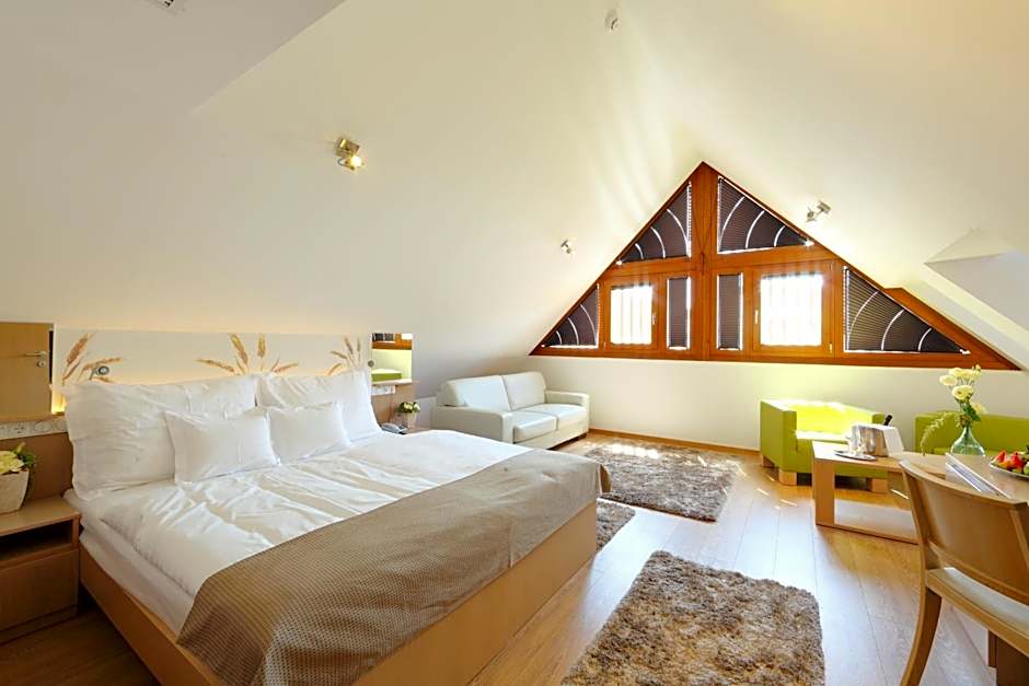 Hotel Historia Malomkert