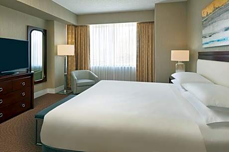 Executive Suite, 1 King, Sofa bed