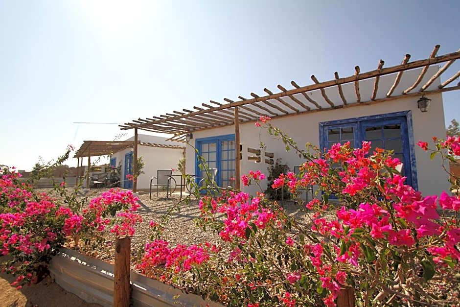 Santerra, Valle de Guadalupe
