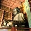 Nara Hakushikaso