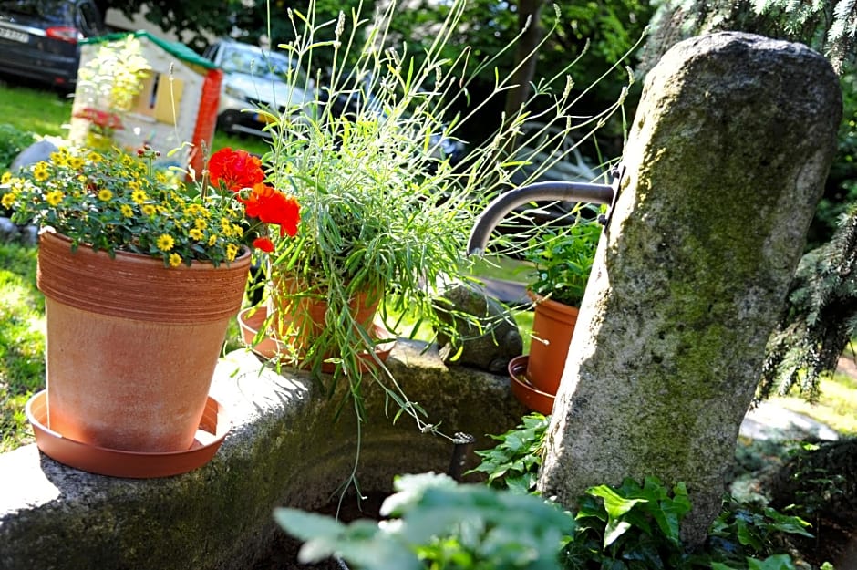 Hotel Pension Schweitzer