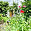 Wester Auchraw Croft B&B