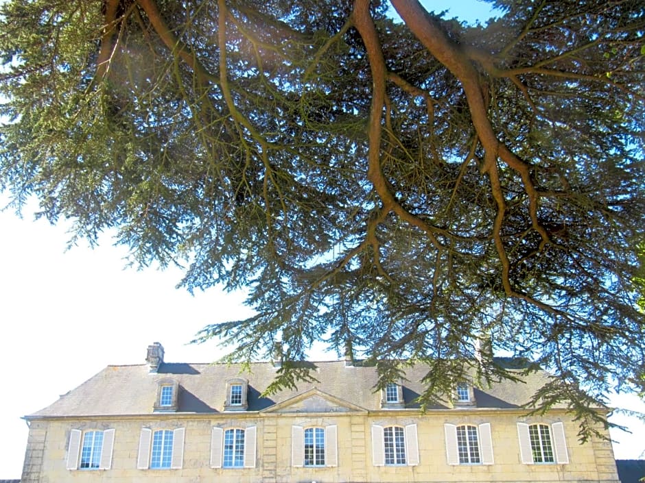 Bed & Breakfast Chateau Les Cèdres