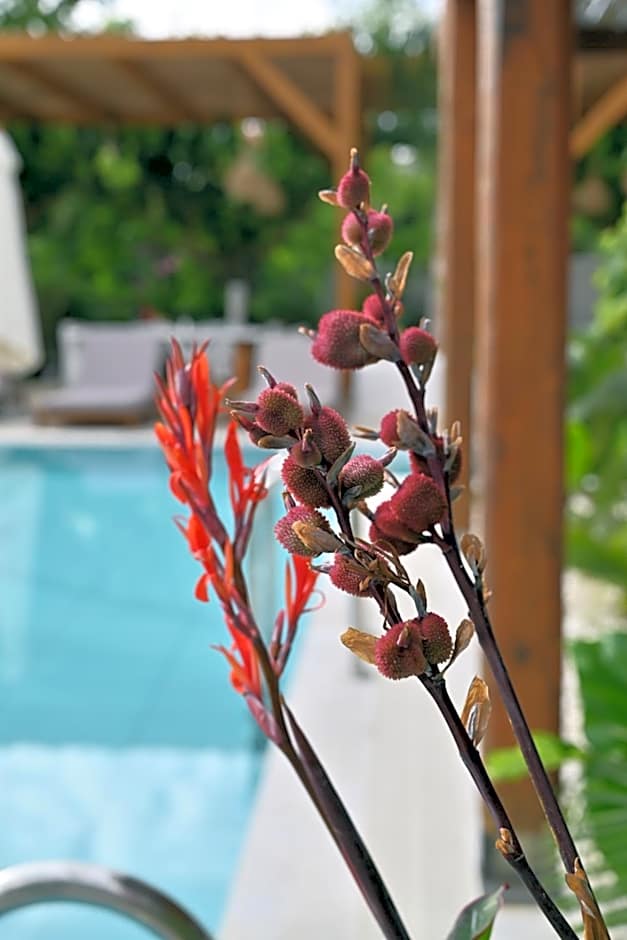 Agorastos Luxury Living