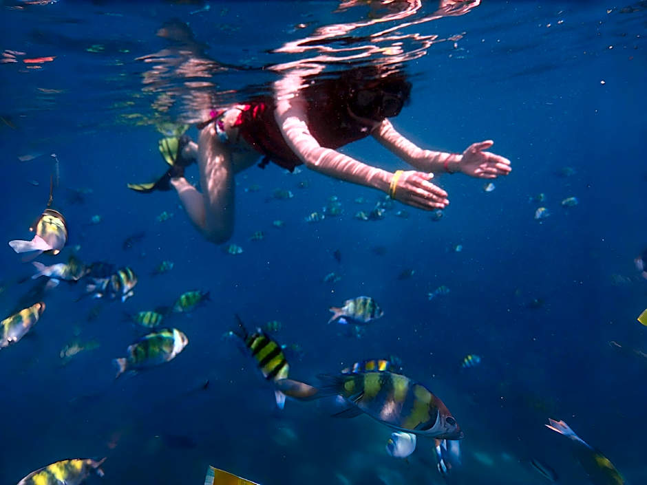 Phuket Meet Holiday Hotel