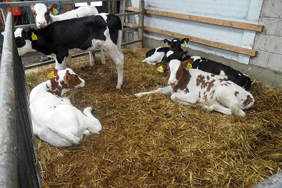 Bed & Breakfast ARKEN AE