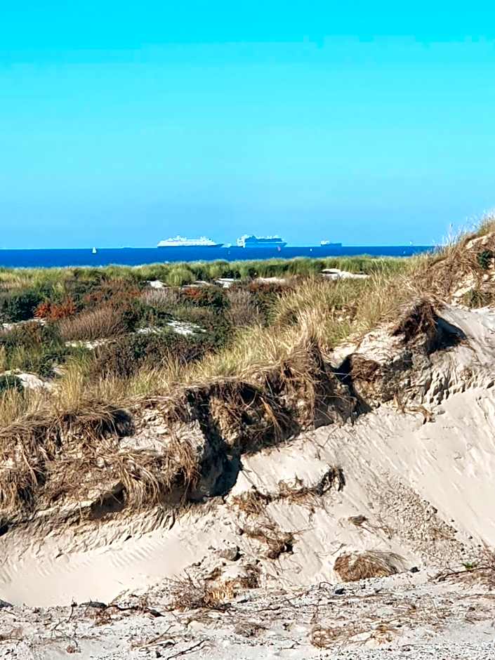 Cozy Garden House kijkduin Beach