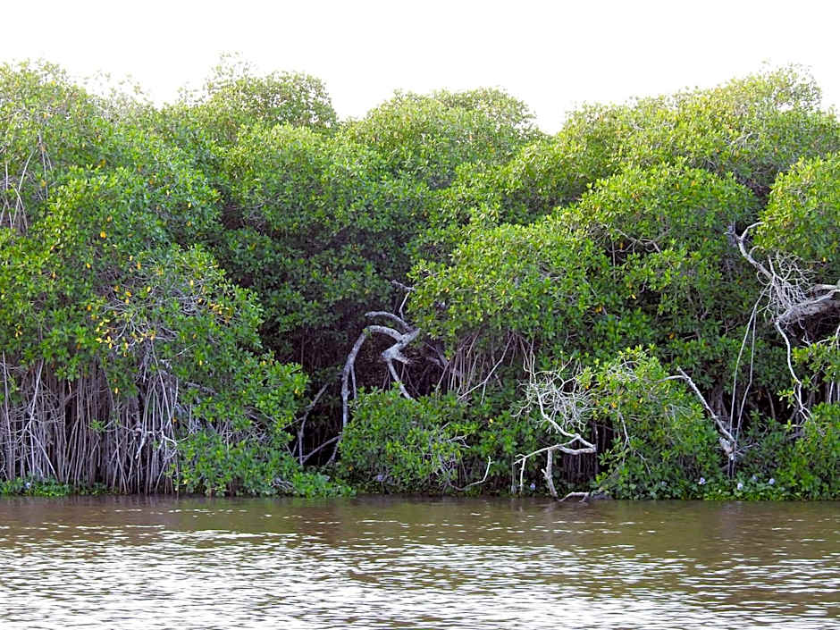 Don Luis Hostal - Sucursal Hidalgo - Tecolutla