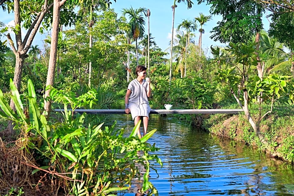 Coconut Lane Bangkok