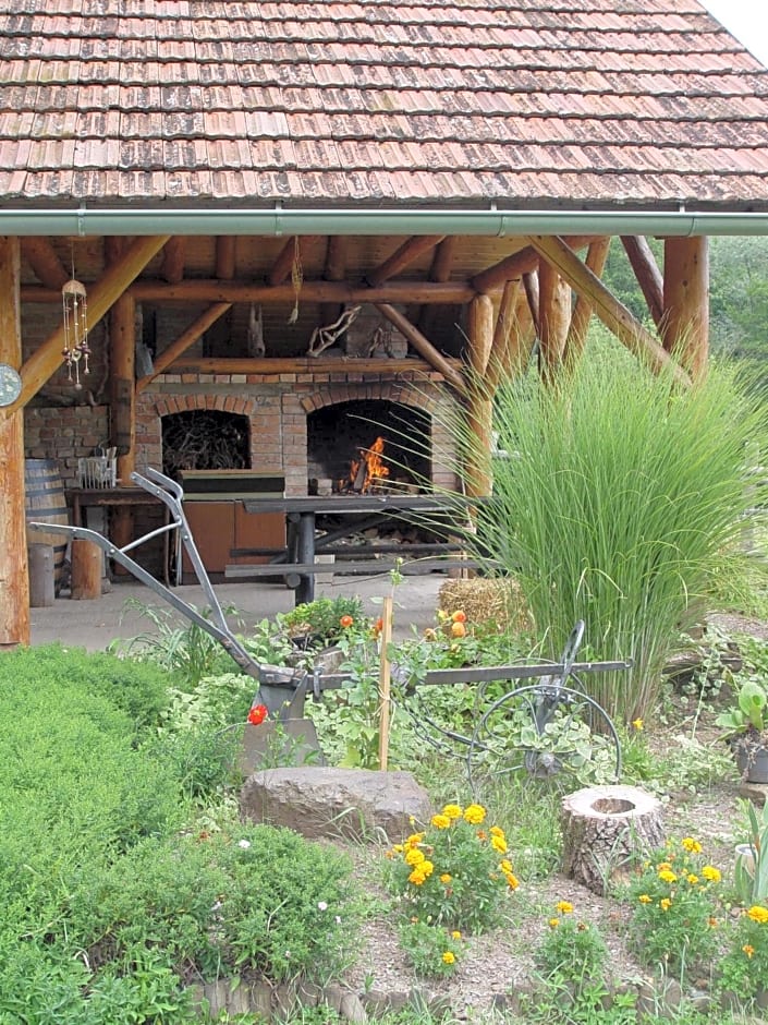 Na Okić - a private forest oasis