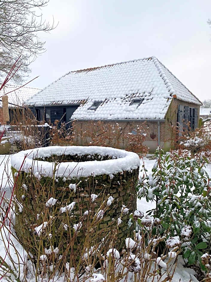 Domestico Bed & Breakfast