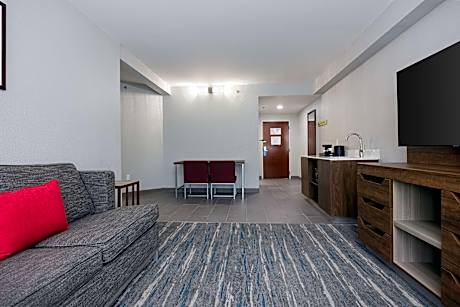 1 King Bed 1 Bedroom Suite Nonsmoking