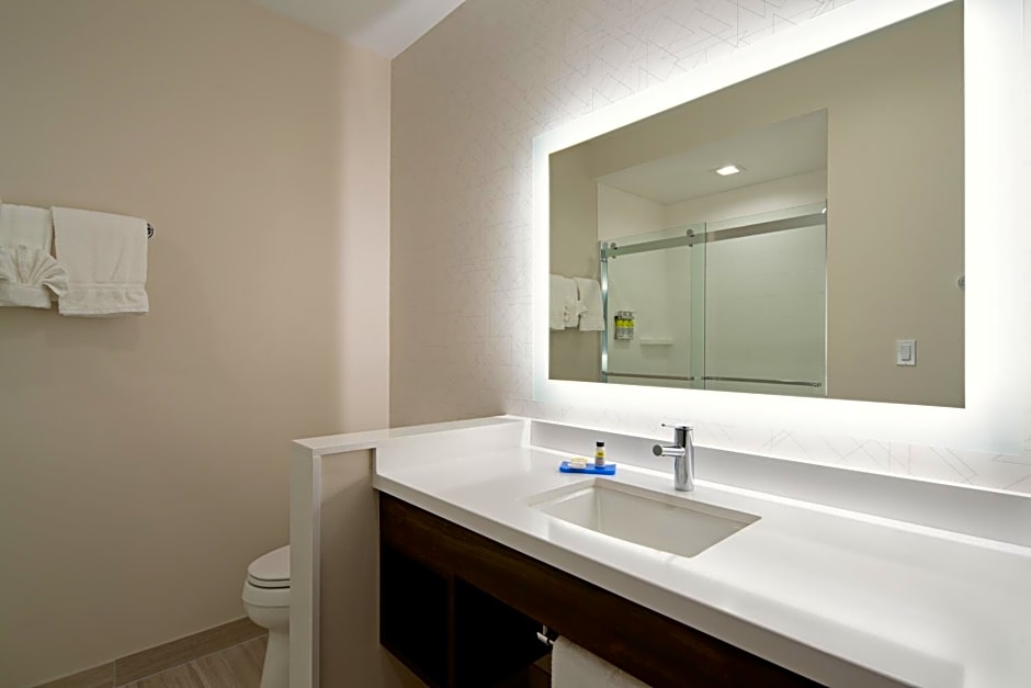 Holiday Inn Express and Suites Valencia - Santa Clarita