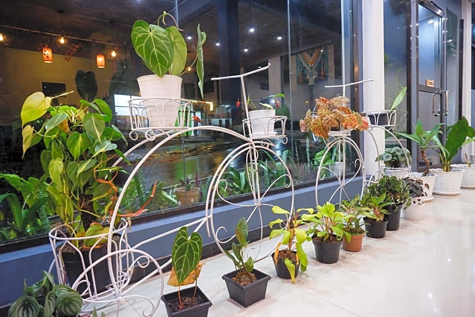 Urbanview Hotel Umbrella Dieng by RedDoorz