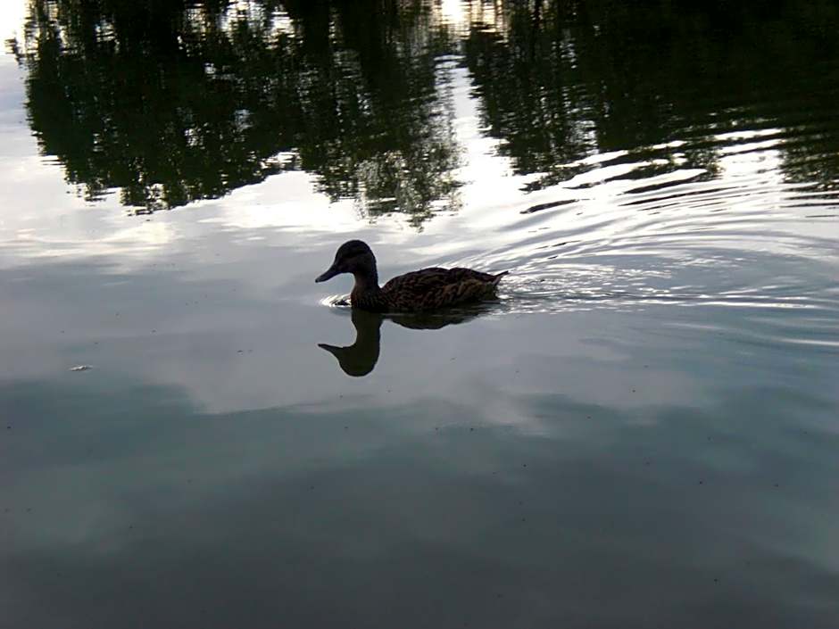 Hotel Garni Eichhornkobel
