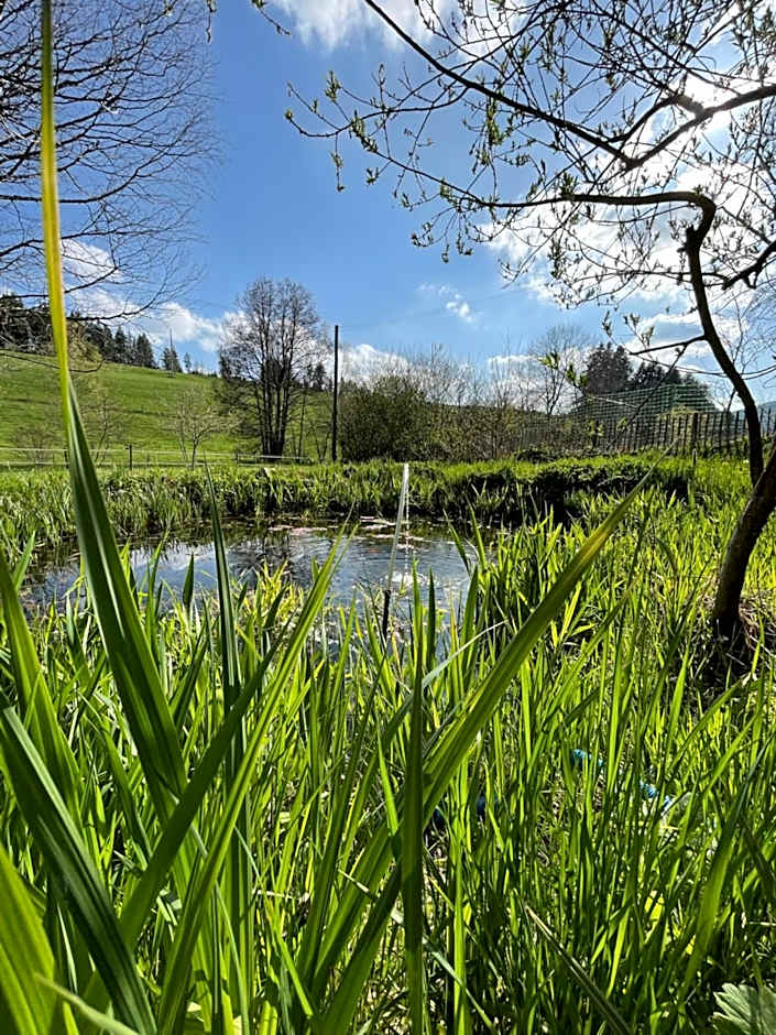 Miramont Horse Trekking Hostel